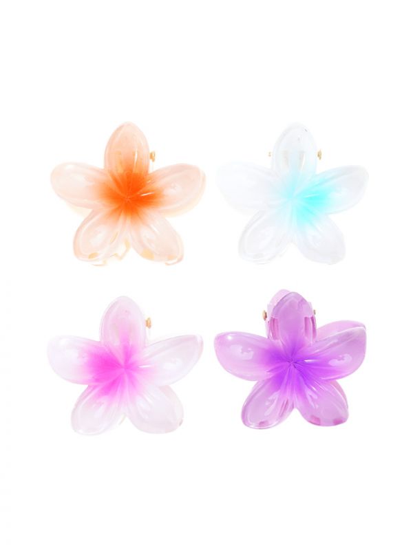 מארז 4 קליפסים