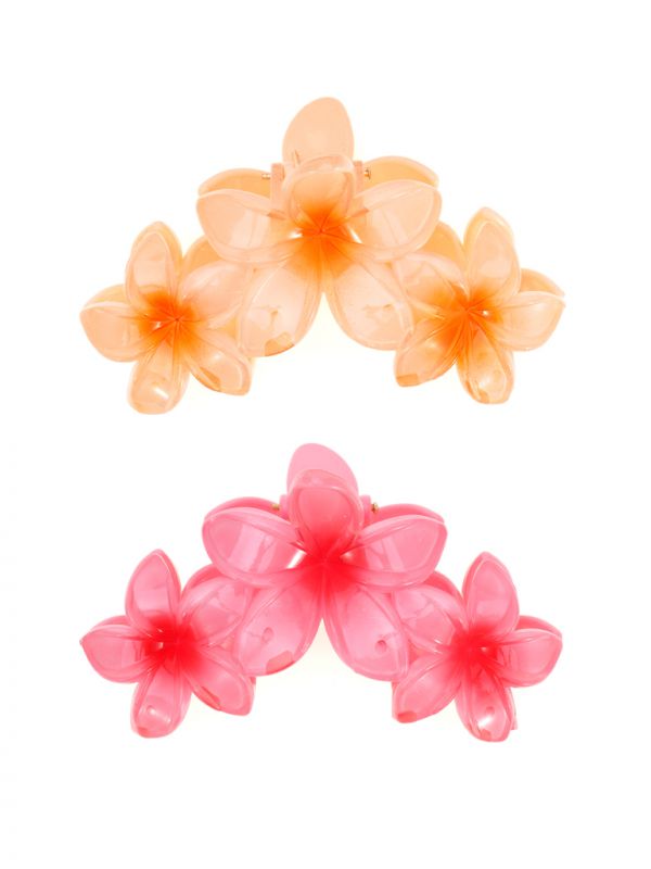 מארז זוג קליפסים