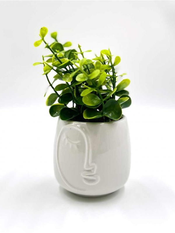 עציץ מלאכותי