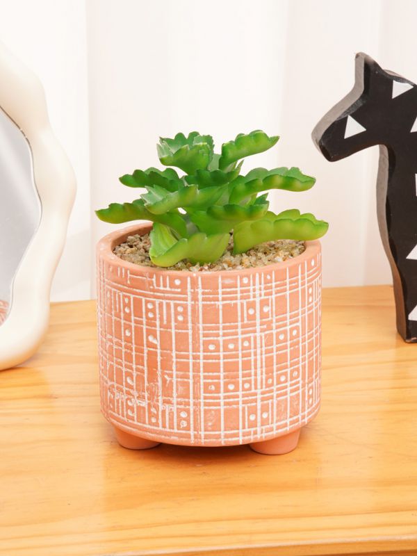 סוקולנט מלאכותי