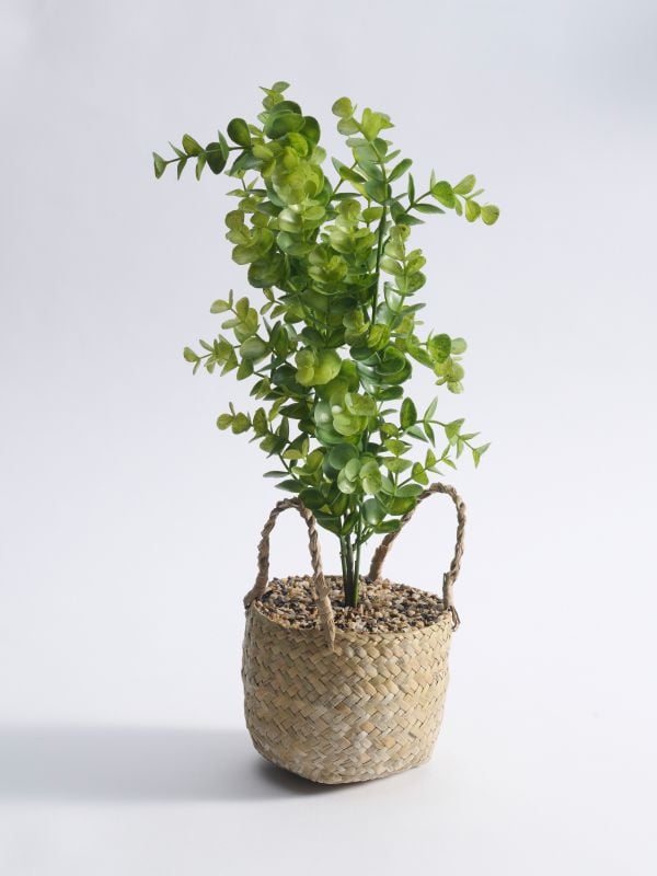 עציץ מלאכותי