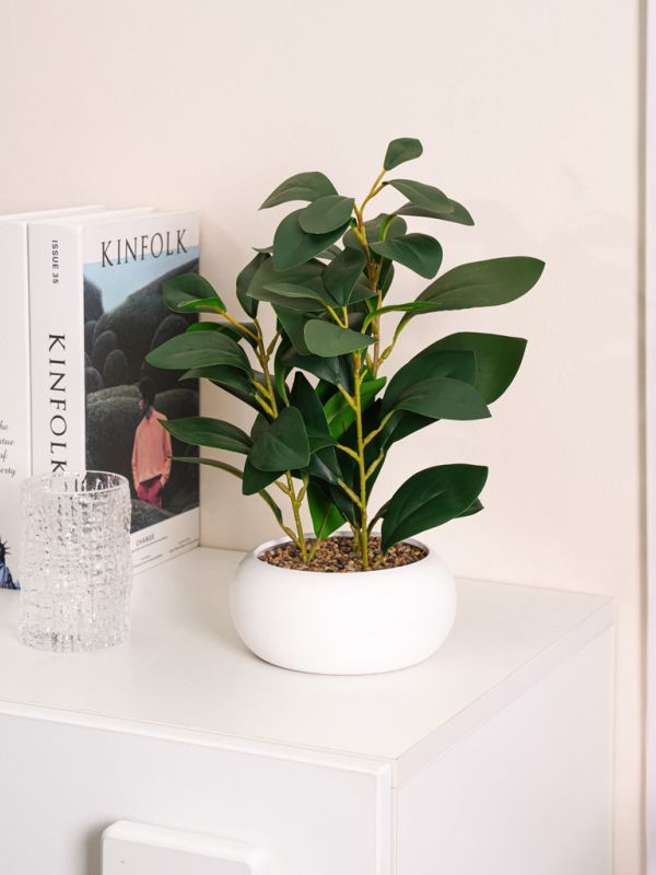 עציץ פלסטיק