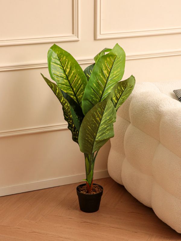 עציץ פלסטיק