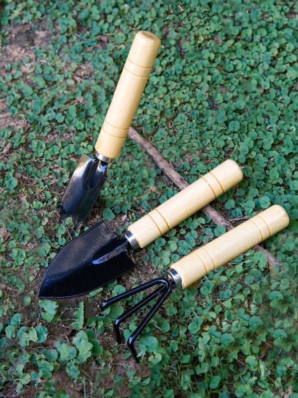 סט 3 כלי עבודה לגינה